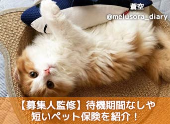 【募集人監修】待機期間なしや短いペット保険を紹介!なぜ待機期間が必要?のサムネイル画像